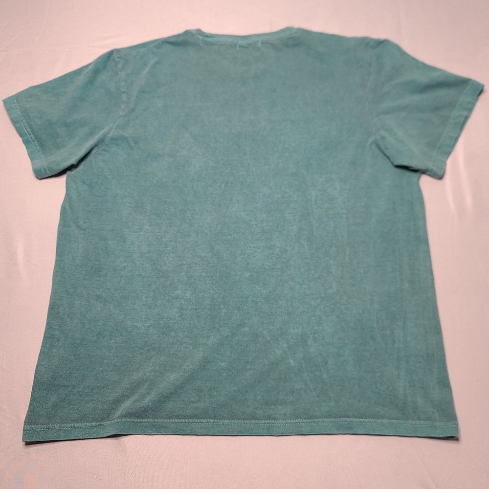 PrettyLittleThing Rocky Mountains Wildlife Tee Womens L Teal Graphic Retro Shirt - Picture 3 of 6